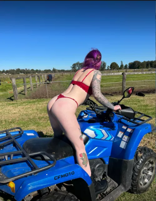 who wants to ride on the back