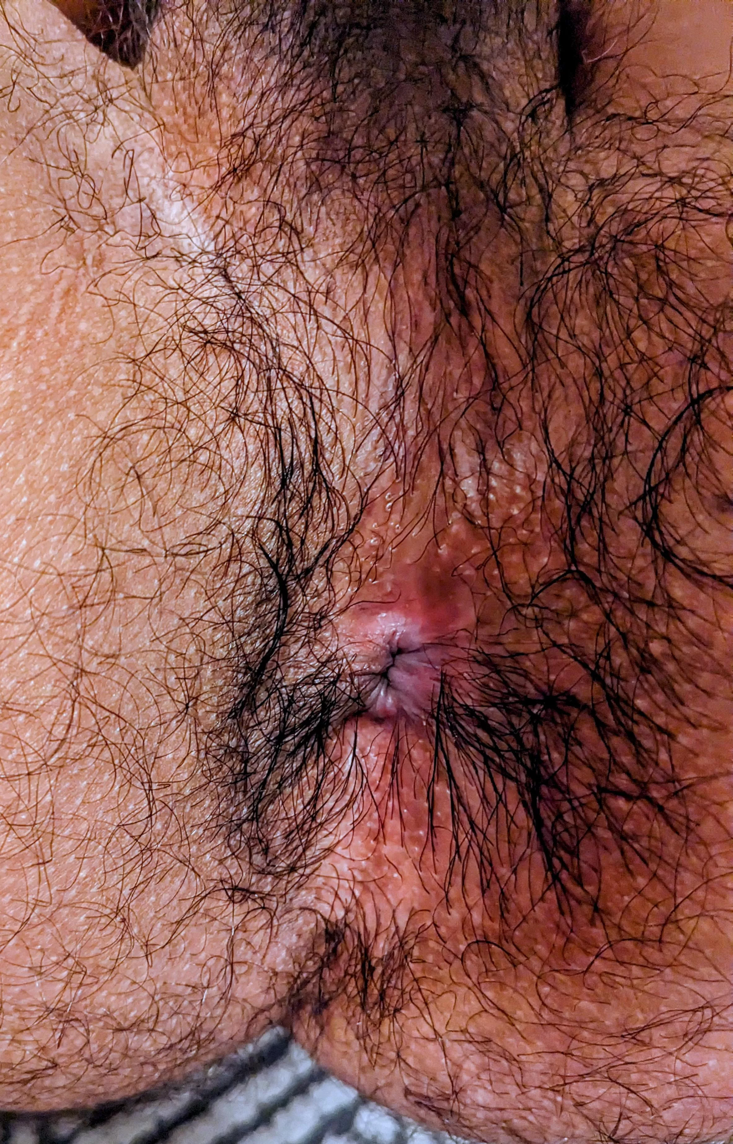 Who's gonna come swap butt pheromones with me 🐽 need a long 69 sesh 🐽