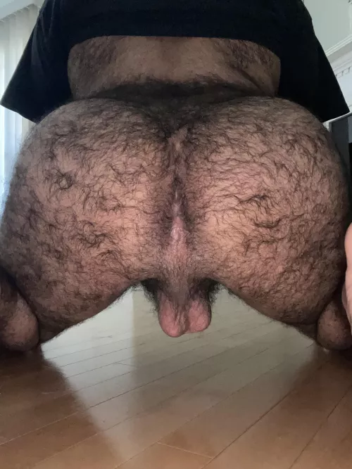 You have what I need?