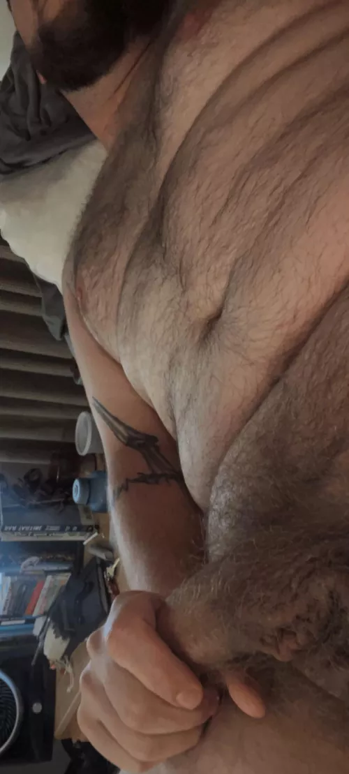 31 yo dad bod here. Horny and edging, wanting to trade, show off, or bust with someone. Face and verbal here. Hairy, face, and live are +++ hmu Zackkary_binx