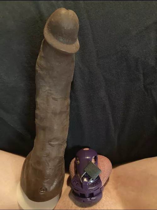 Anybody else enjoy comparing next to huge dildos?