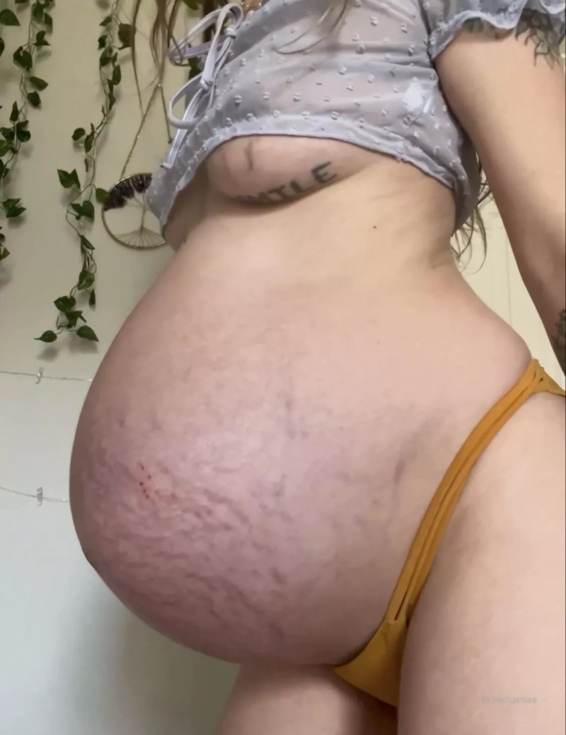 do you like these curves?(;