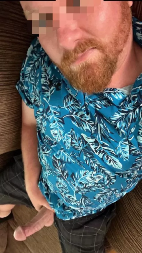 Do you want to touch my beard or something else