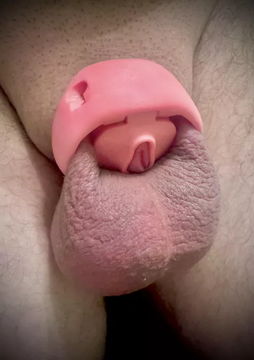 Got my new cage and I love it!