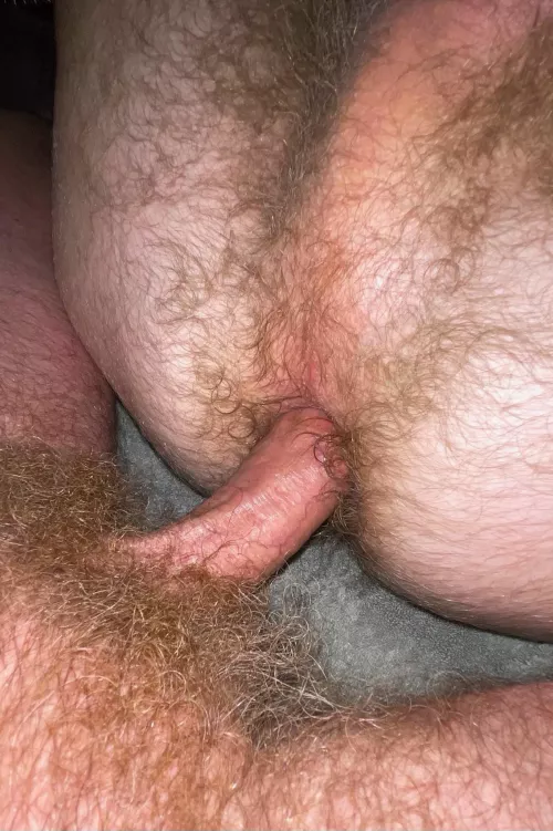 Hairy cock and ass