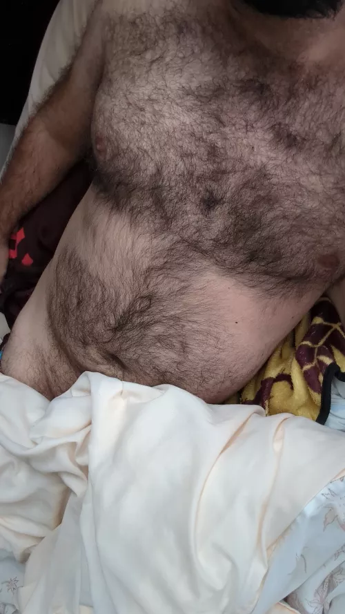 Quiet morning alone in bed