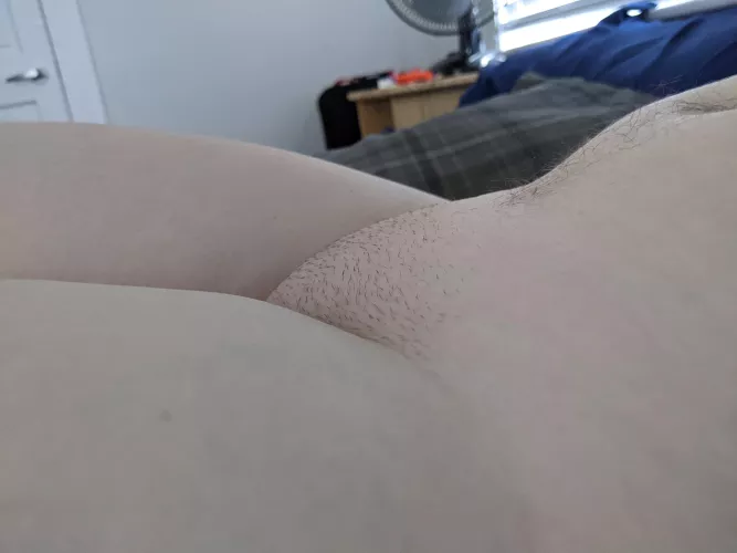 Thought I needed to shave, but I kinda like how it looks here... do you?