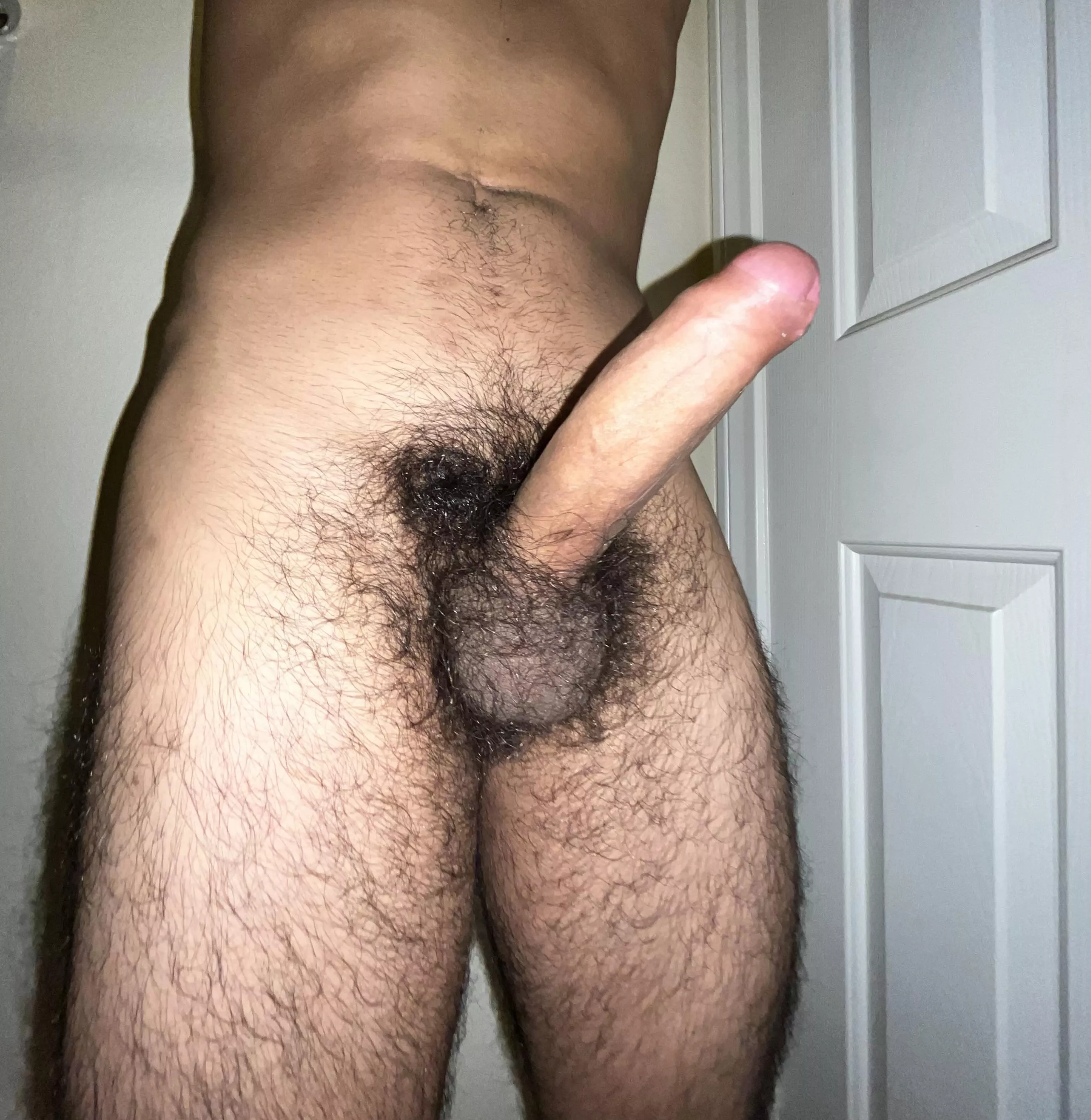 wanna suck my veiny cock?