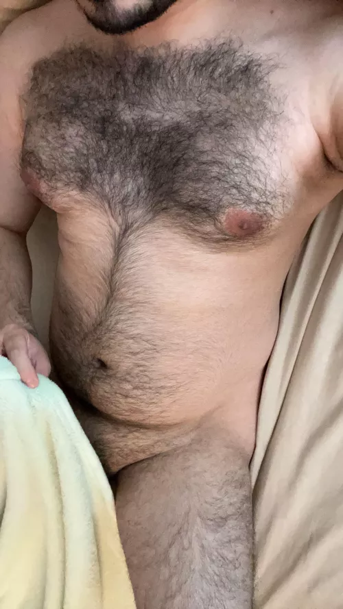 27 horny sc:gayhairyvers