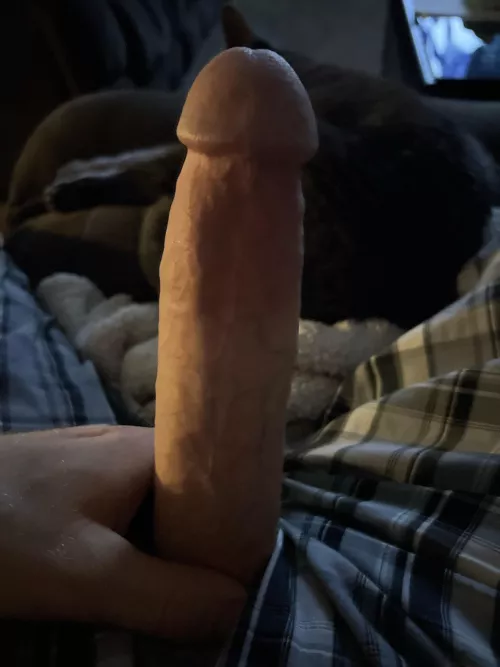 (37) daddy needing a rider