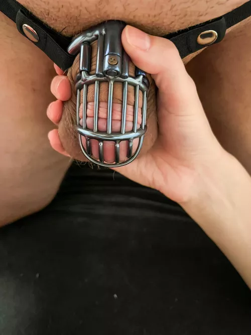 My bf’s custom titanium cage just arrived. Of course he got locked right after