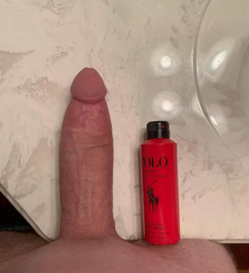 Ralph Lauren isn’t the only horse around