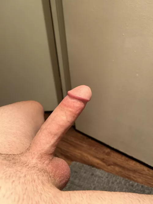 Would you take my morning wood?