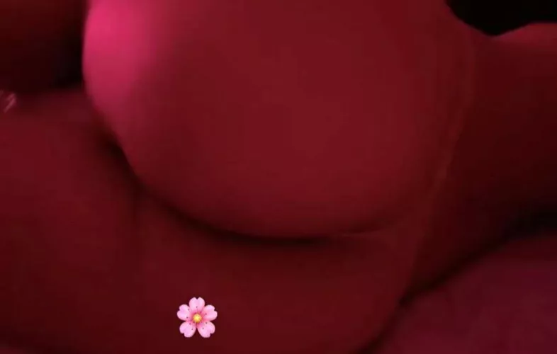 23 verbal asian femboy :)) lennyoswald2020 🌺 hmu with face and a voice message