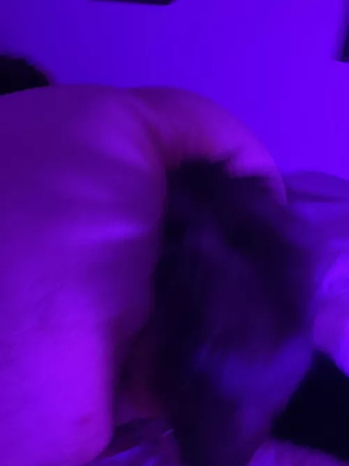 Found this old picture of my ass, figured I'd show off some ;3