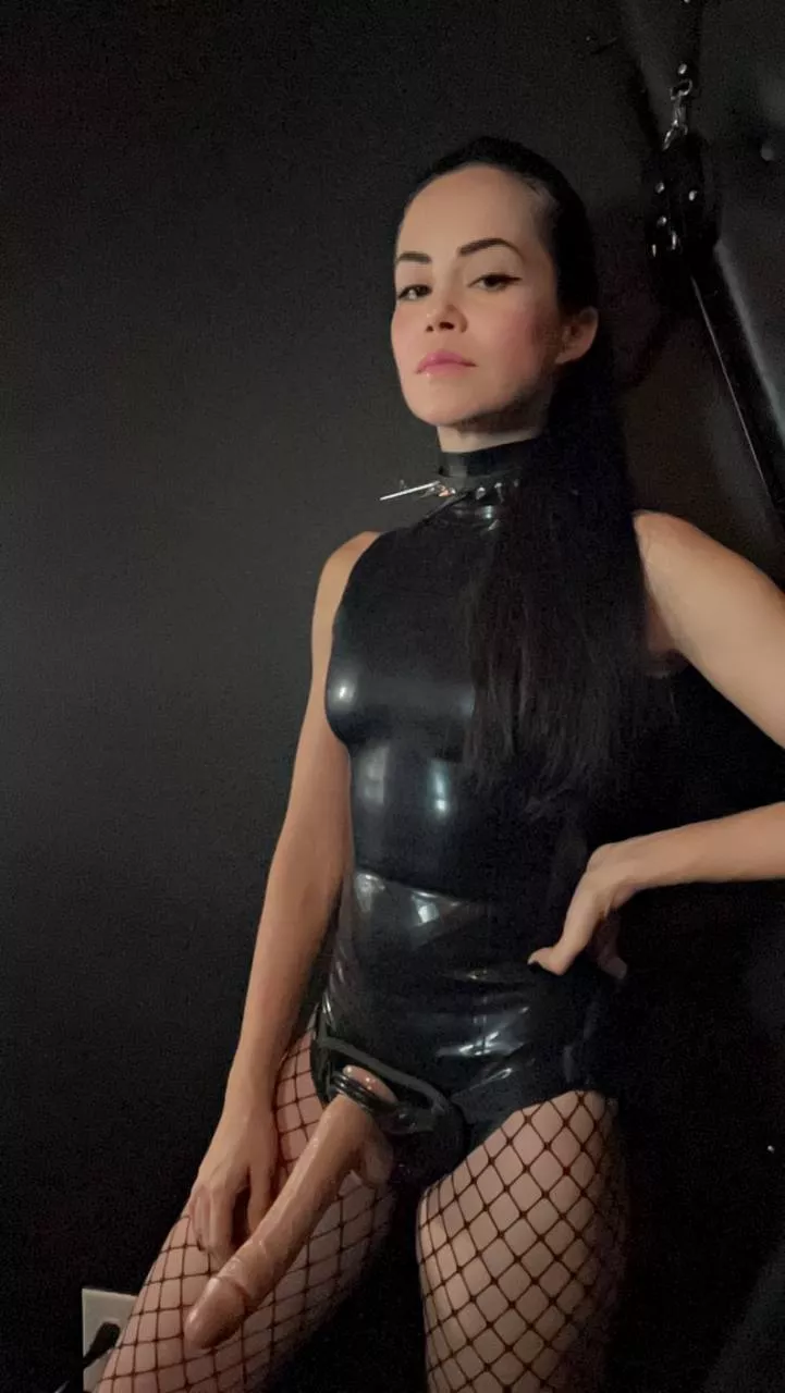 Join your Domme to measure who has a bigger cock