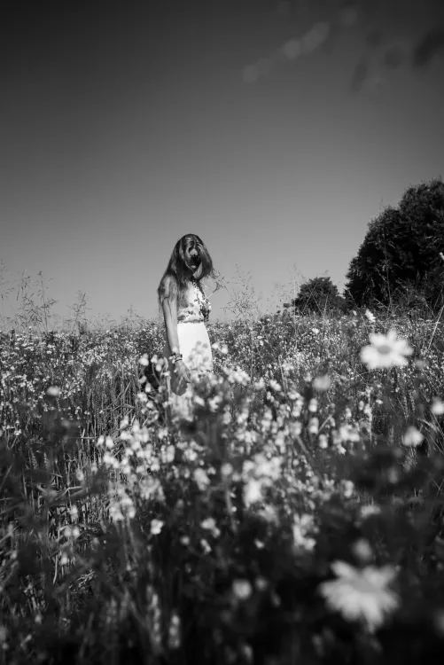 Living in a Field of Dreams