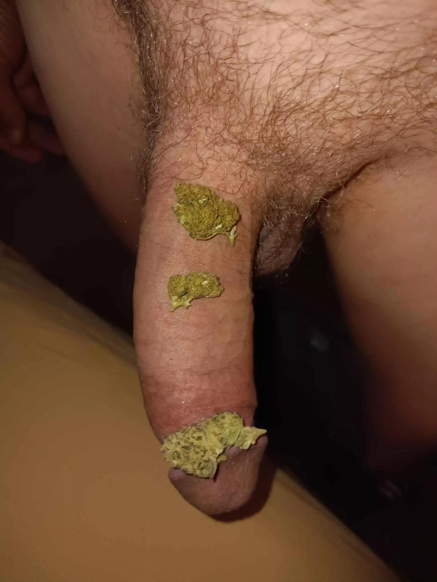 (m) This buds for you