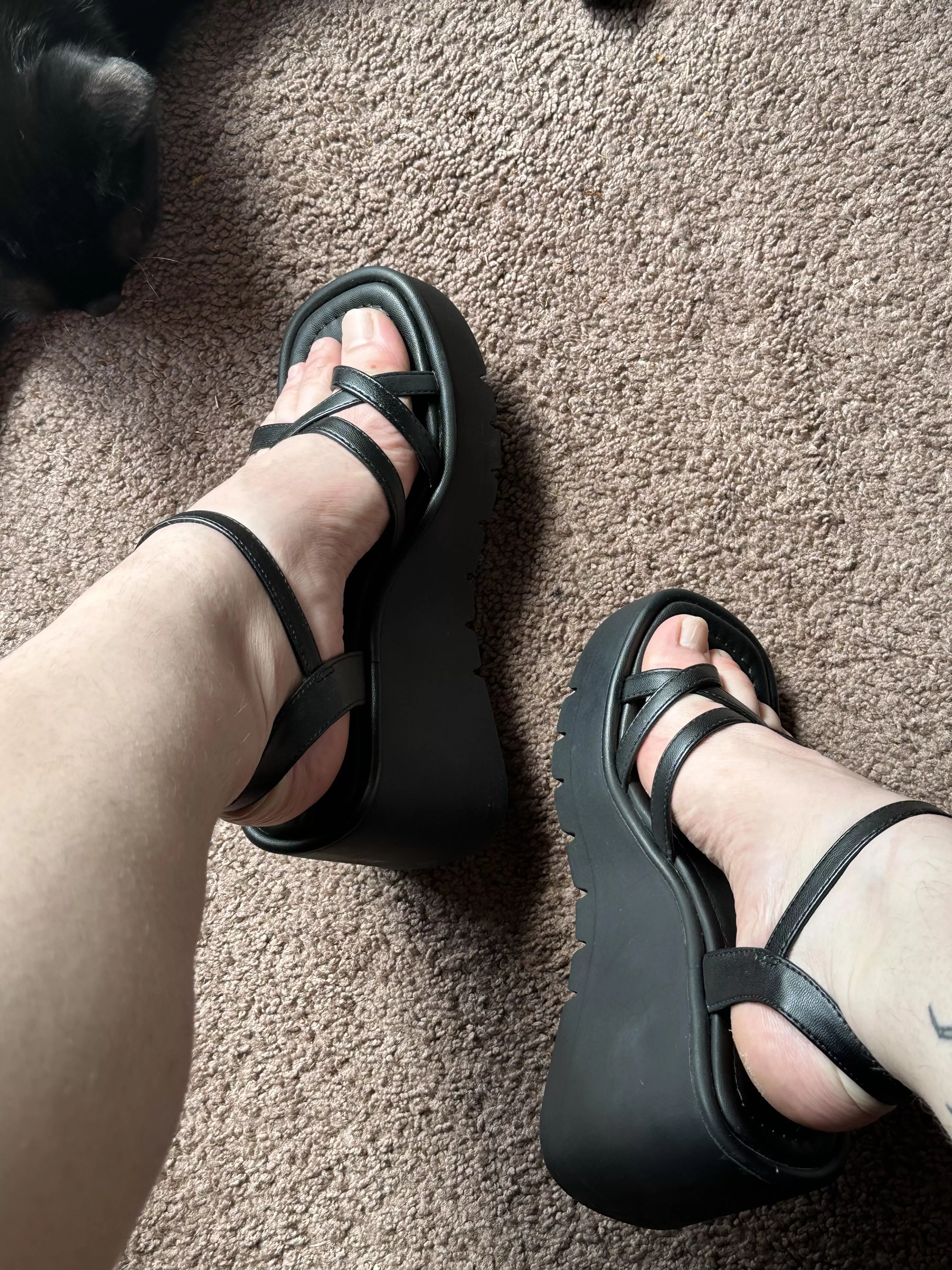 New to the collection 😇