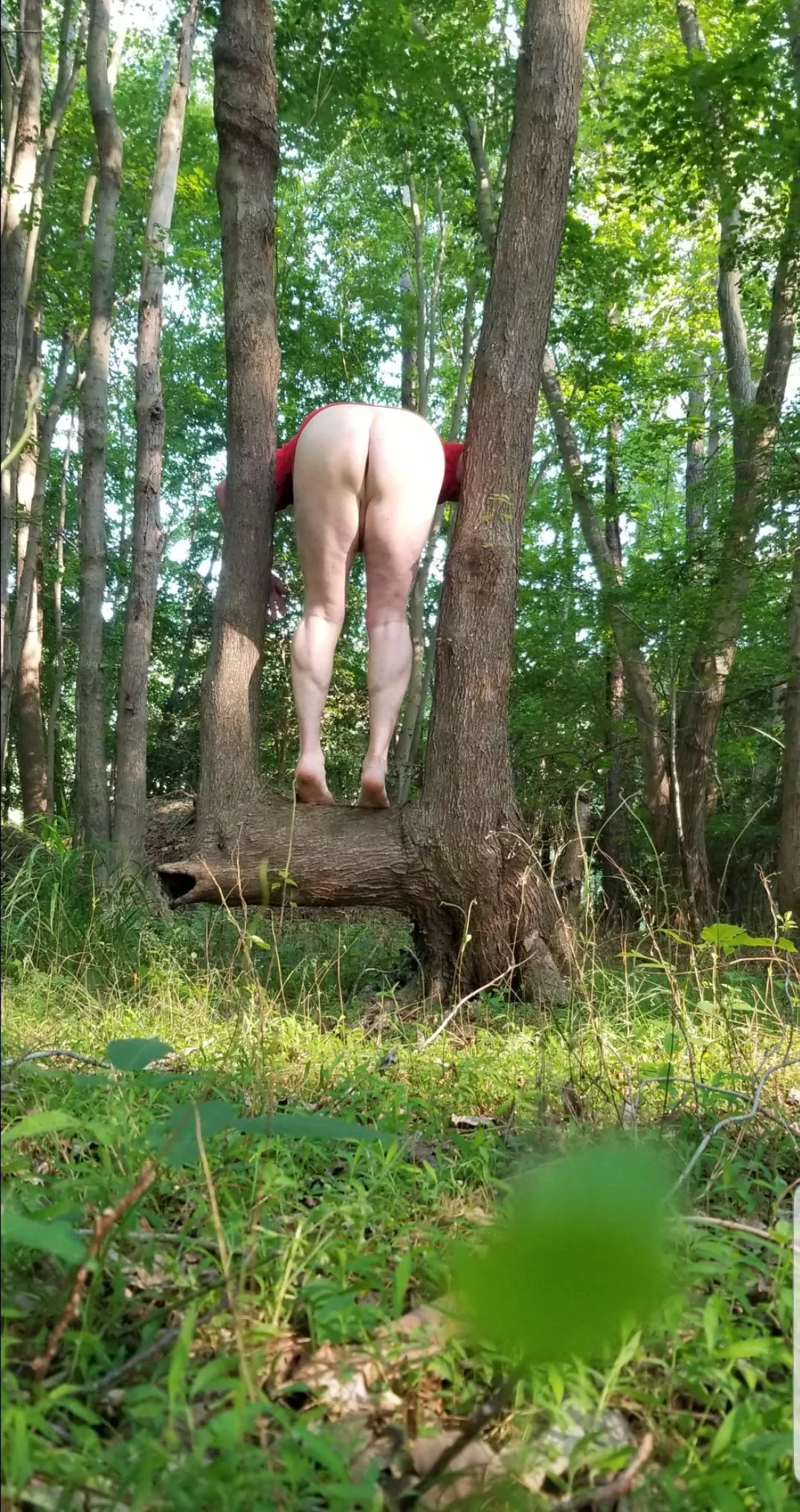 Playing in the woods