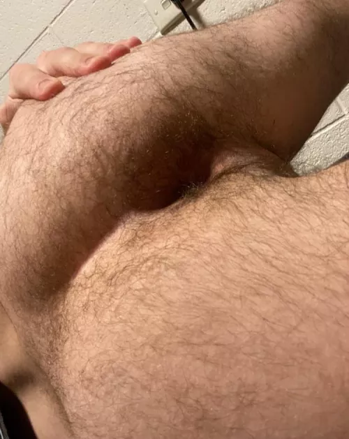 19 hairy ass