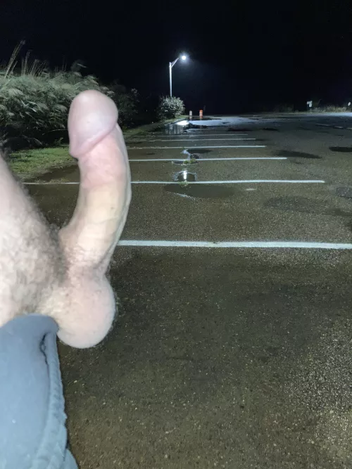 All alone at the marina