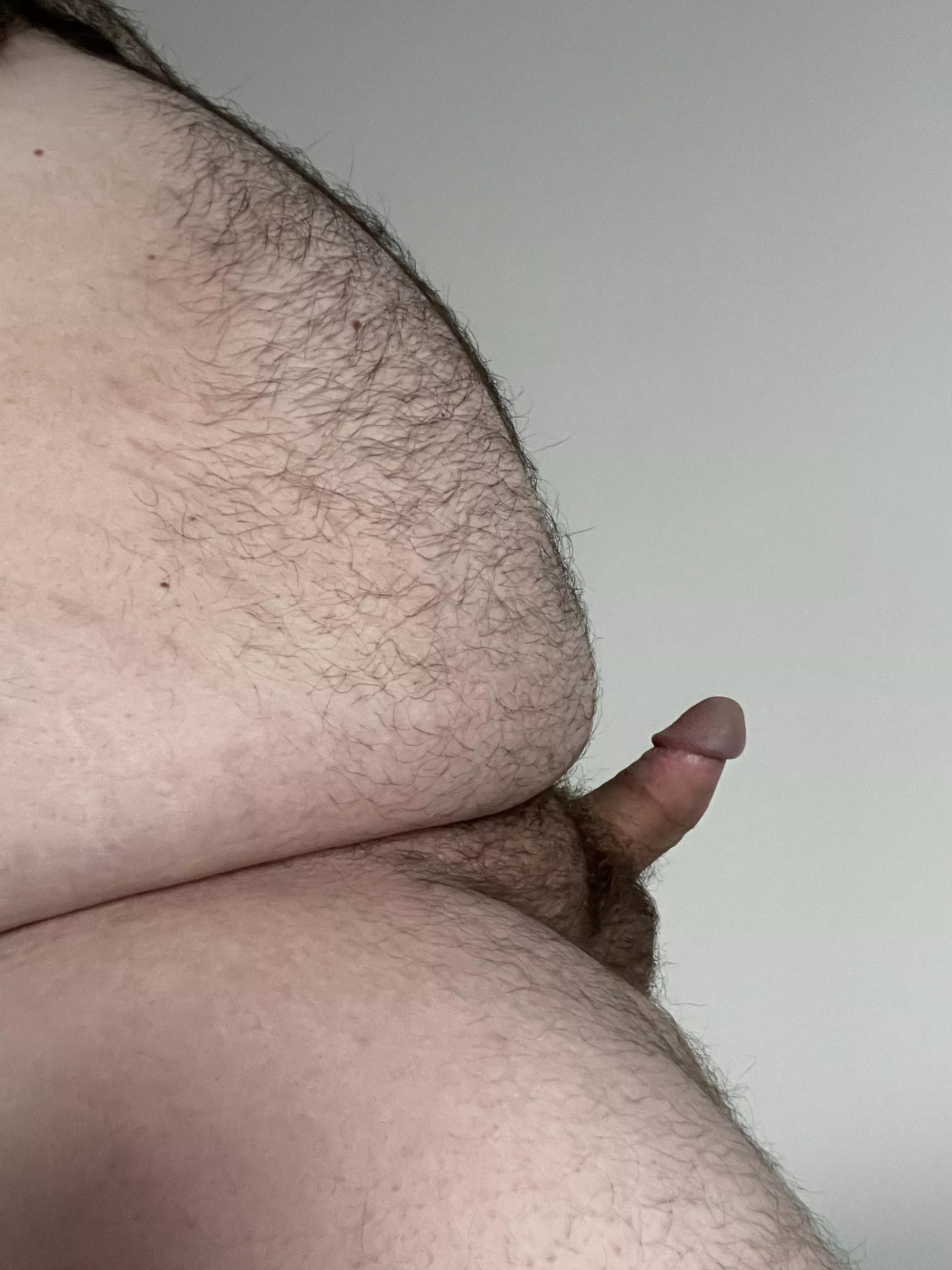 Any big belly fans? DMs are open