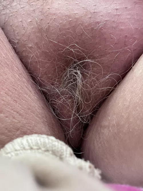 Beautiful and inviting F59