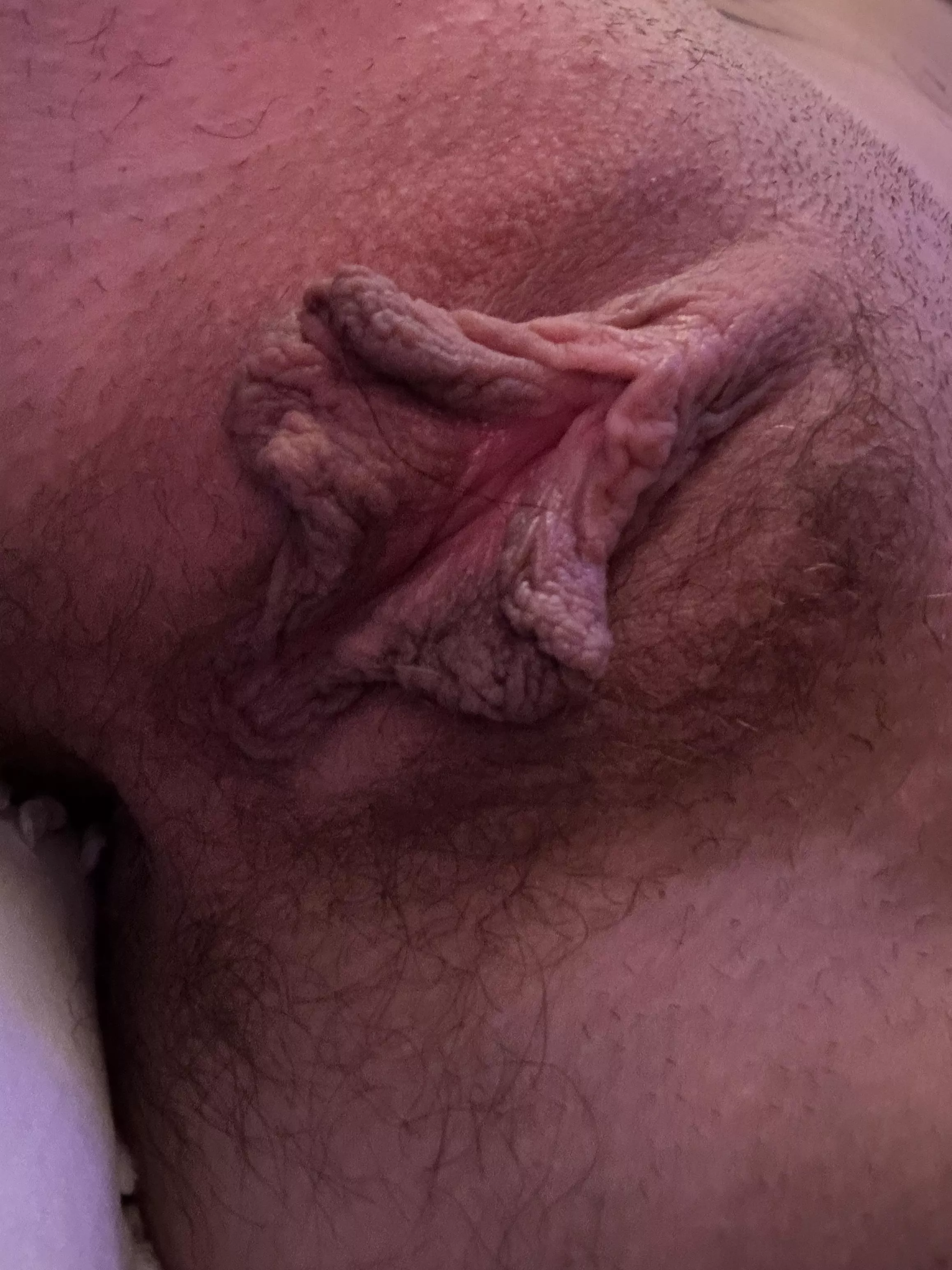 Big pusssy lips for u;)