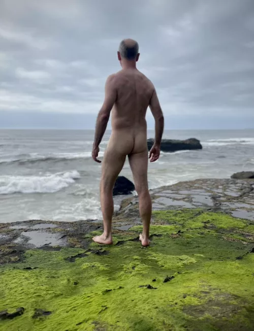 Cake Day on a green carpet