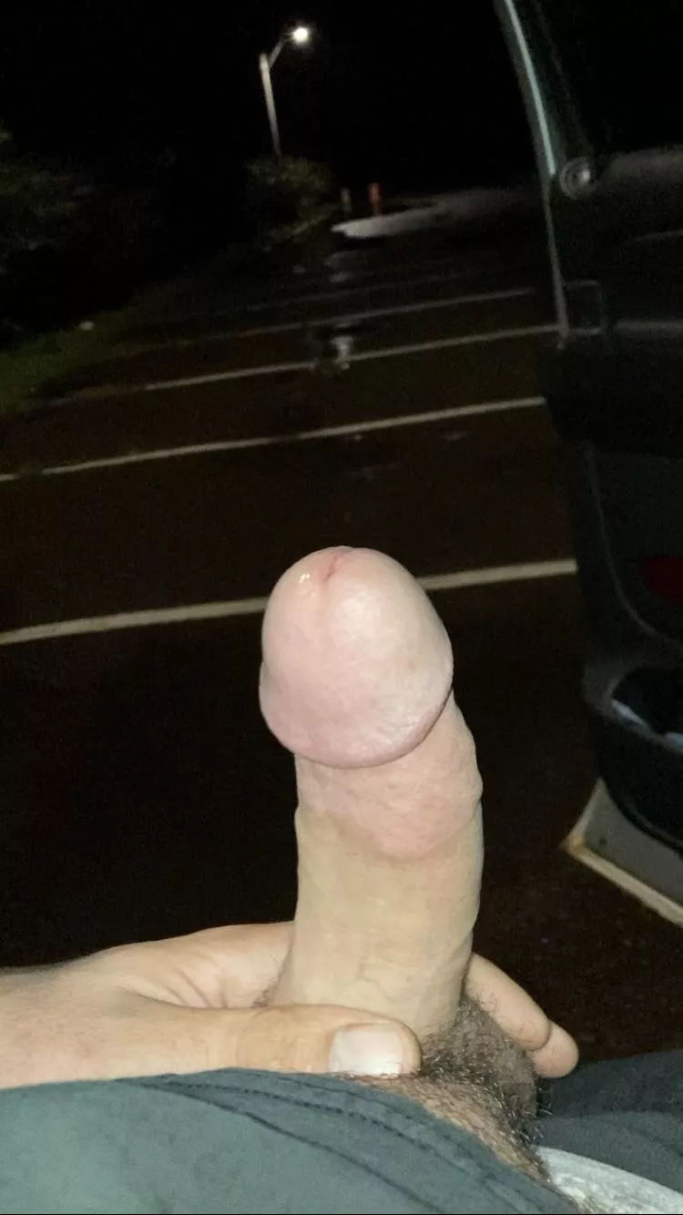 I used to get blowjobs on the hood of my truck in this spot. Couple times I heard people on their boats in the bay cheering me on