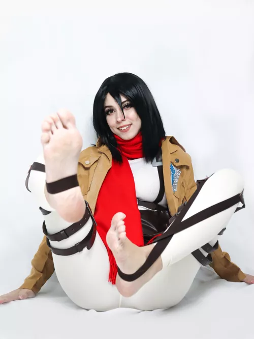 Mikasa Ackerman [AOT] (Fairy ELfie)