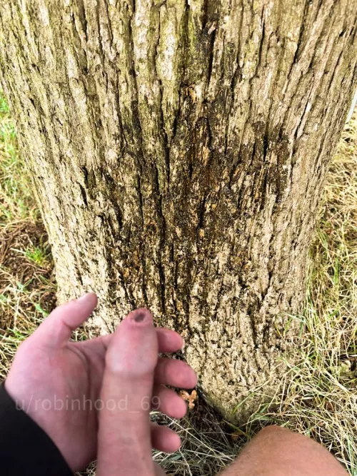 My cock is like a friendly wave in a sea of highs and lows – just the right size...