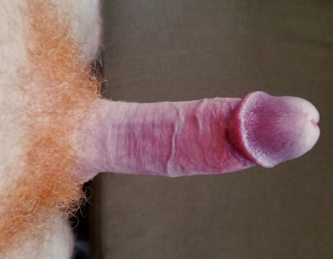 My Ginger Penis - A Color Study