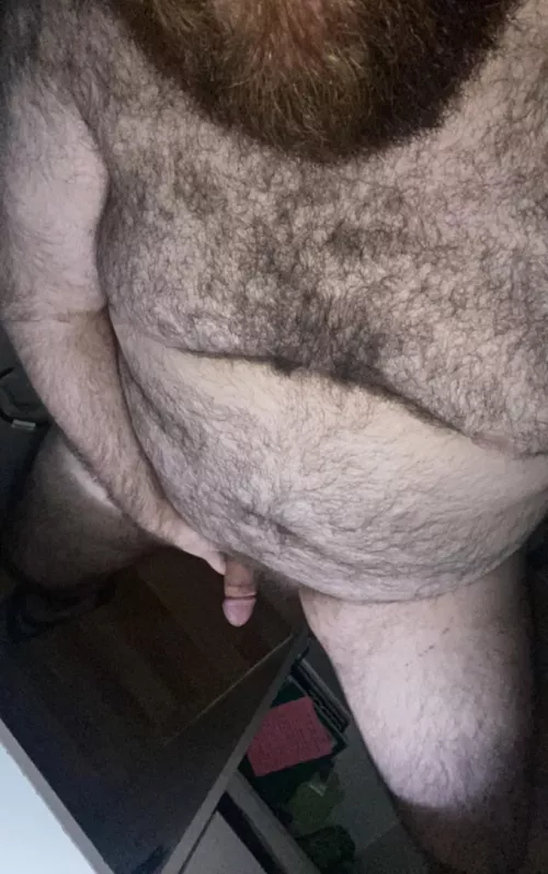 y'all bears always make me rock hard