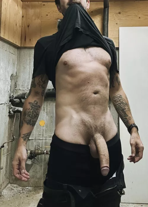 Are there any bros who would let me breed them down here? (35)