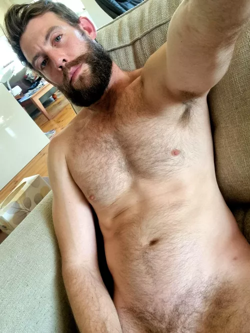 Are you in to tall, bearded Australian's?