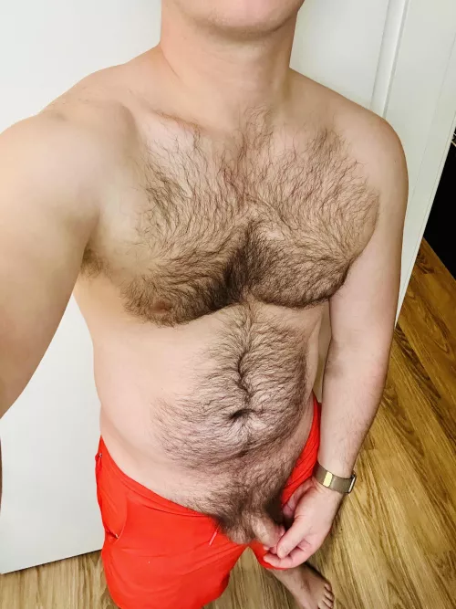 Dad bod