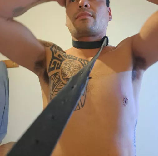 Do you like my hairy armpits?