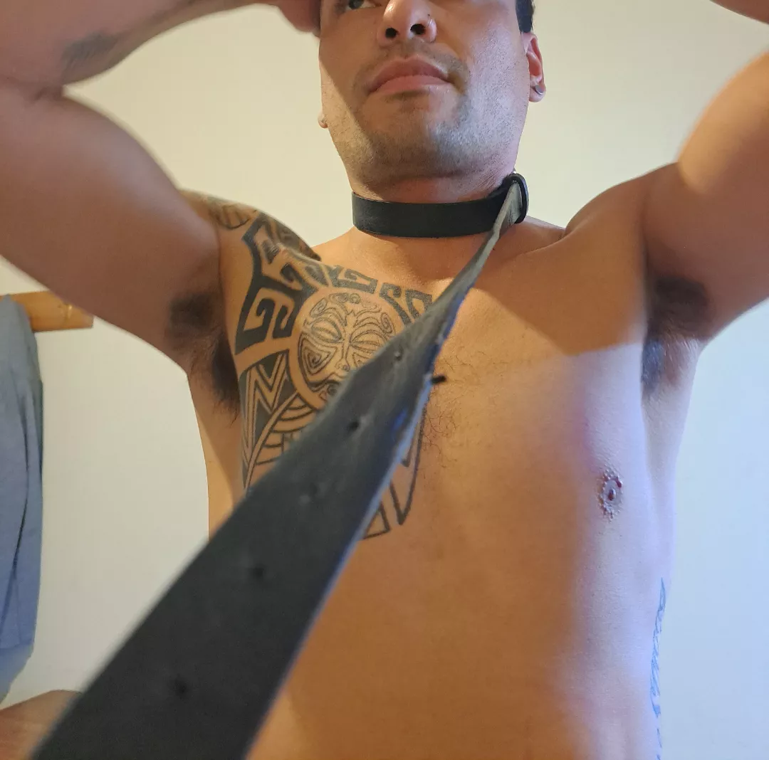 Do you like my hairy armpits?