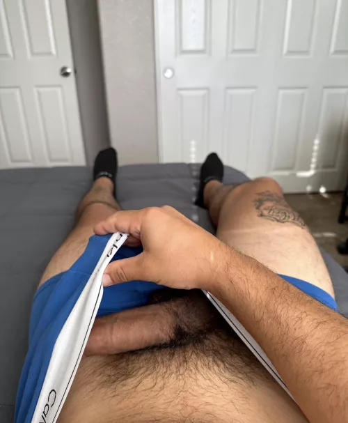 Have you ever showed your pubes to your bro? (30)