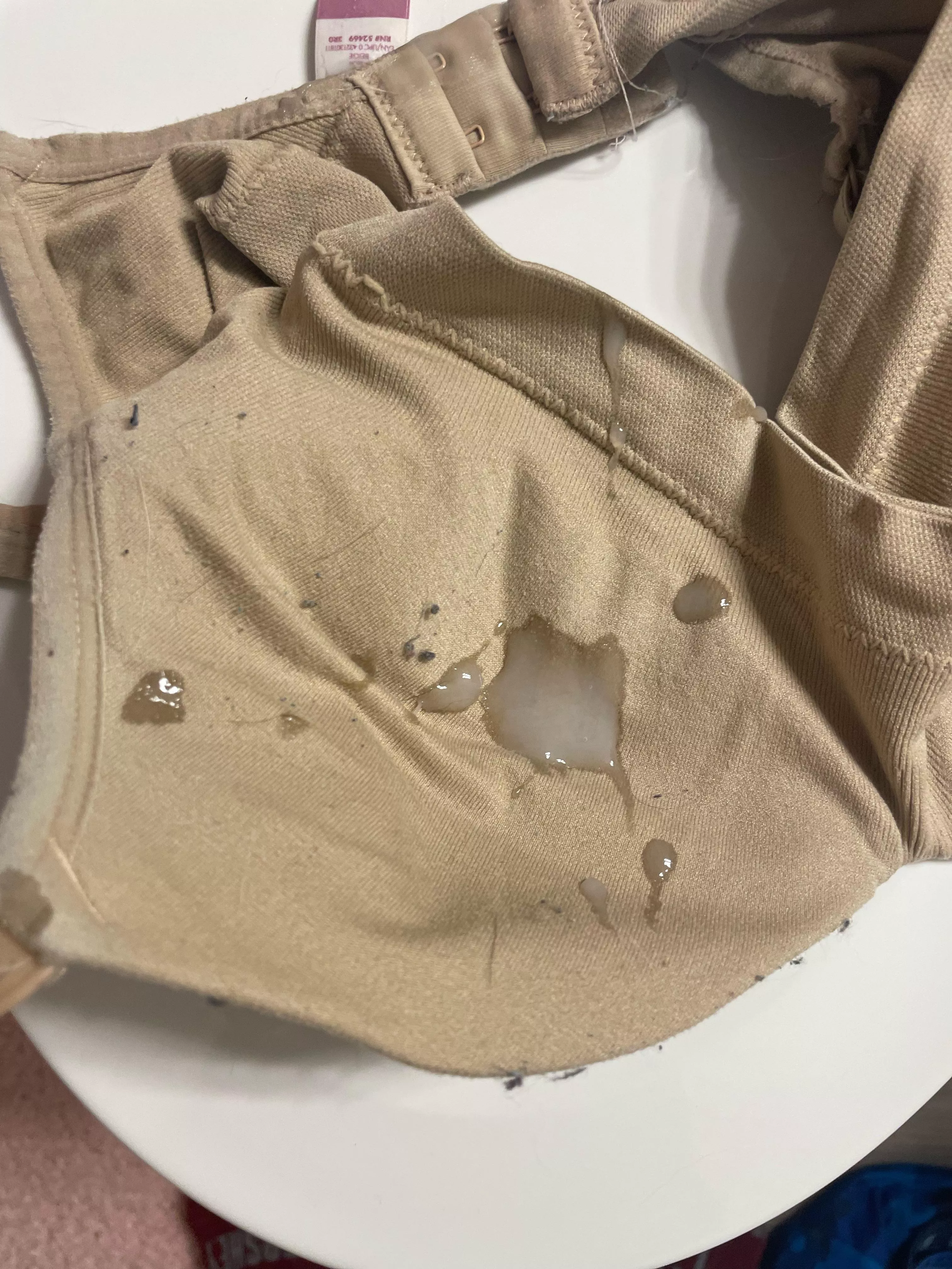 I’m back cumming on my sister bras