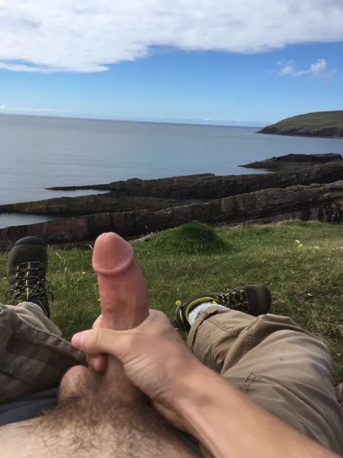 Just off the hiking trail (OC)