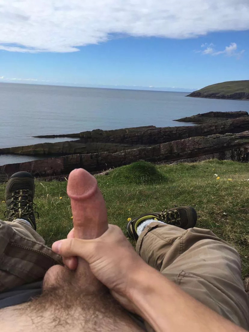 Just off the hiking trail (OC)