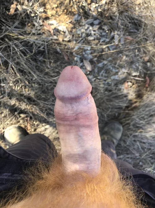 Love the afternoon breeze