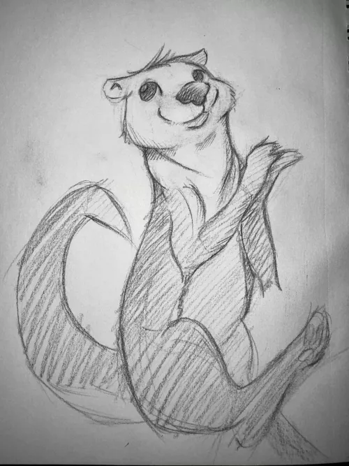 Otter Sketch, sorry about the smudging