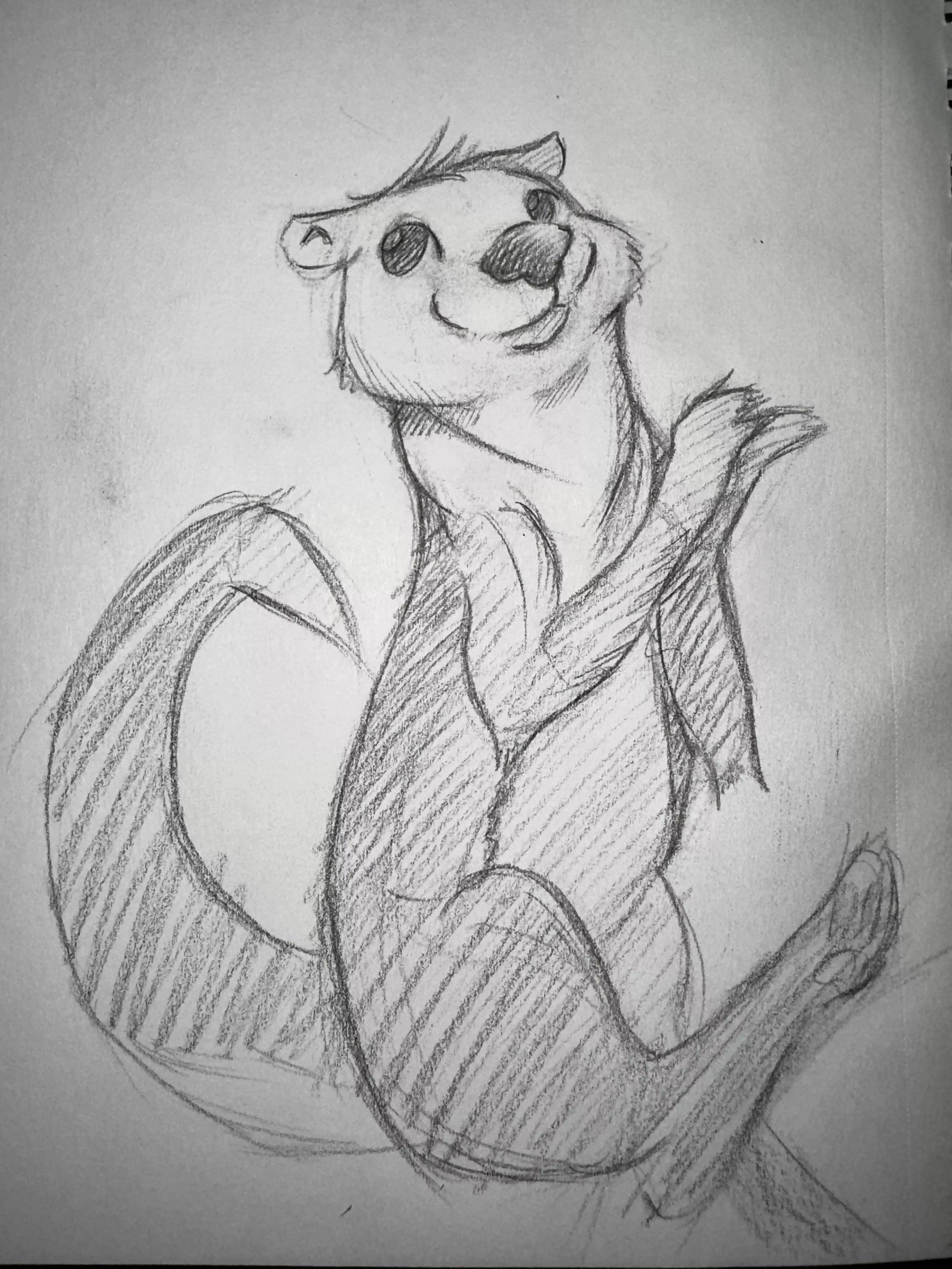 Otter Sketch, sorry about the smudging
