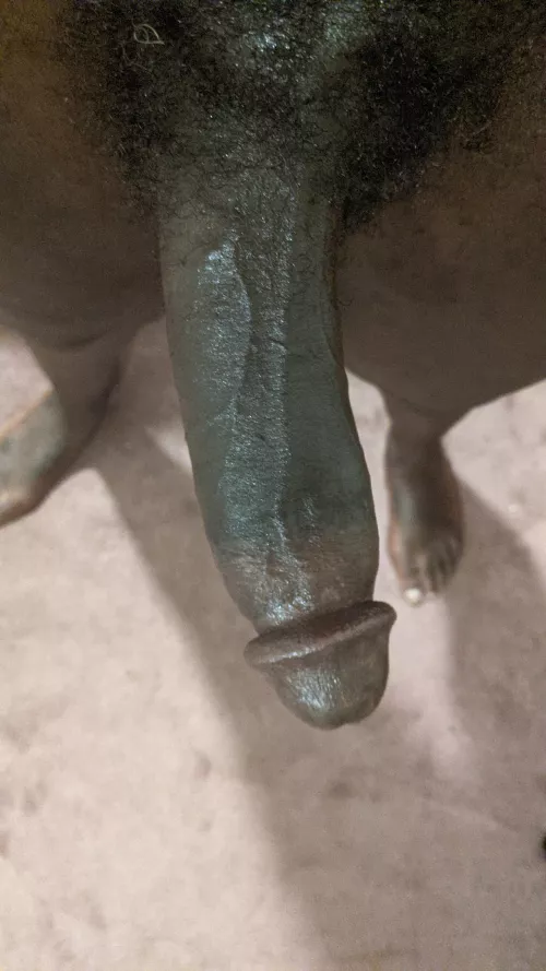 POV right before you get down to suck it