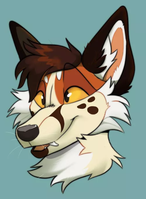 Quick fox headshot!