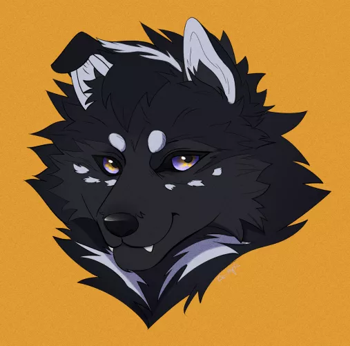 Re-drew the fursona I made as a teen, I might keep him as my actual fursona tbh. His name is Kuro!